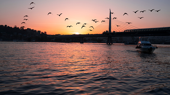 Beautiful sunset, Golden hours, Golden Horn metro bridge and the view of the Golden Horn in Istanbul, the sunset, the birds heading towards the sun, The image with space and text area.