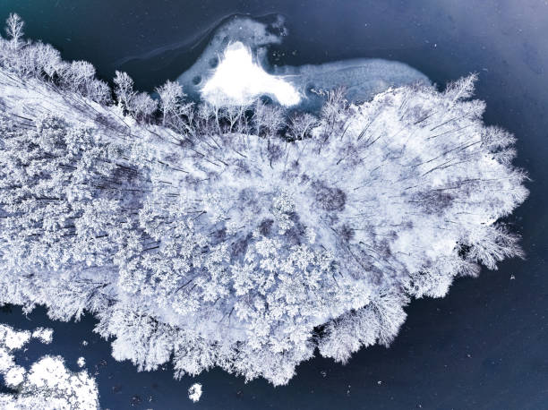 istock Flight over cold river and snowy forest in Poland. 1444756377