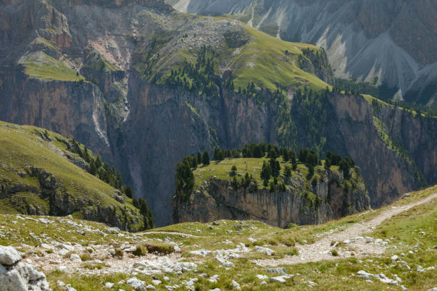 istock A little isolated mountain top with a meadow and pine trees on it 1444757760
