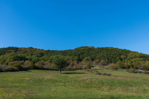 istock Molise, Italy.  Spectacular autumn panorama. 1444761969