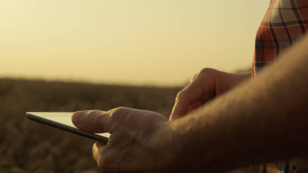 istock Farmer hands holding tablet in wheat field closeup. Agronomist using digital pad 1444769034