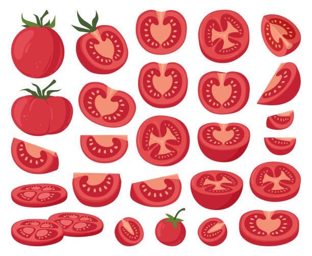 Cartoon chopped tomatoes, red vegetable slices. Tomato half, fresh red tomatoes slice, organic vegetables with yellow seeds flat vector illustration set. Chopped tomato collection Cartoon chopped tomatoes, red vegetable slices. Tomato half, fresh red tomatoes slice, organic vegetables with yellow seeds flat vector illustration set. Chopped tomato collection tomato slice stock illustrations
