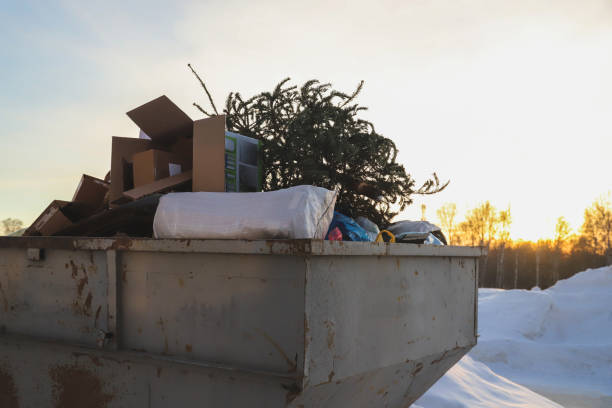 istock Discarded Christmas tree in a garbage container. After Christmas 1444780812