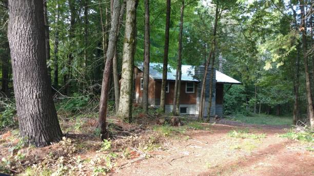 Cabin in the woods