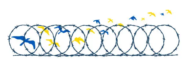 Vector illustration of Flying birds in Ukrainian blue and yellow flag colors escaping barbed wire fence. Freedom concept. Hand drawn vector illustration. Pray for Ukraine