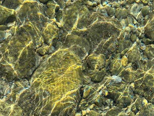 istock Sea water with smooth pebbles stones at the bottom. 1444796391