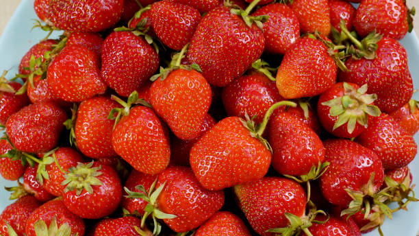istock Juicy Red ripe organic strawberries 1444796430