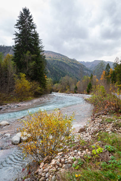istock River stream in the Swiss Alps 1444796998
