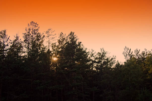istock evening magic of nature. 1444799099