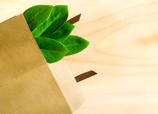 istock Eco box. Paper envelopes with green leaves. Eco friendly packaging, paper recycling, zero waste, natural products concept. 1444804320