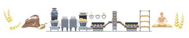 Vector illustration of Bread production process. Infographic. Industrial line from wheat, to loafs of bread in the shop. Baking of bread. Food factory. Flat vector illustration.