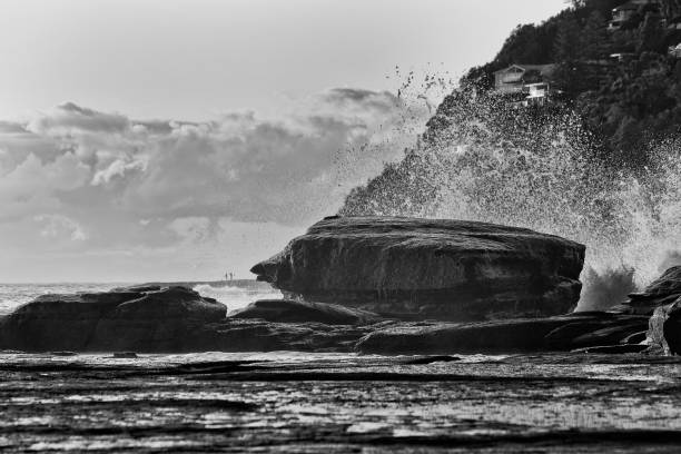 Sea Whale lay rock splash careel BW