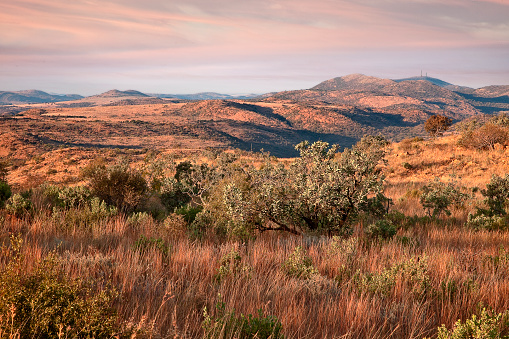 High-up view looking towards the north in the direction of the Witwatersrand gold fields. Shot in the UNESCO Vredefort Dome World Heritage Site, North-West Province, South Africa.