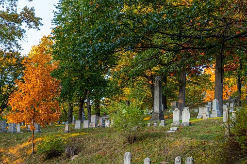 Fall nears its peak at the famous Mt. Hope Cemetery near downtown Rochester, NY.