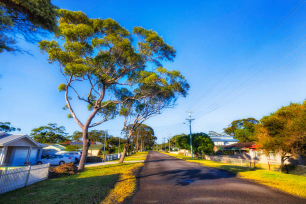 istock JB Street Gumtree callala 1444808929