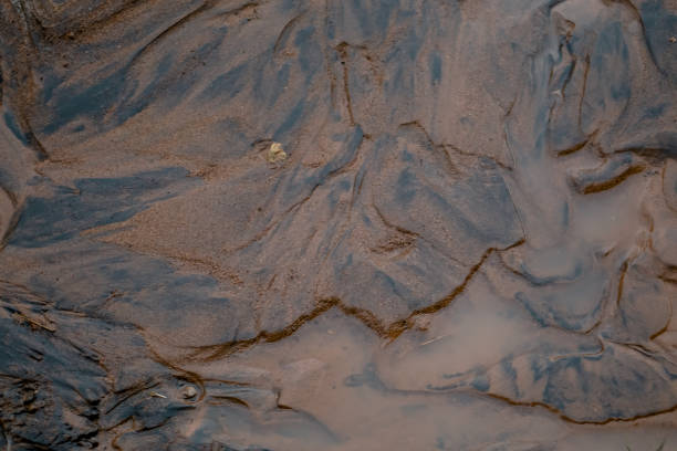 istock Rocks and sand deposits 1444813482