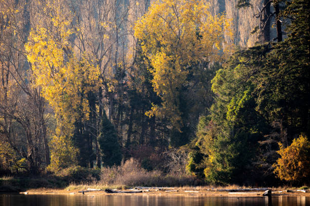 istock Fall Colors at Esquimalt Lagoon, Victoria, BC Canada 1444816073