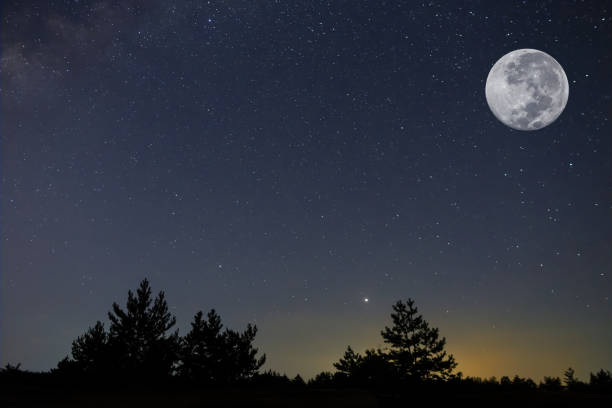 istock brilliant full moon above forest silhouette at the night 1444821759
