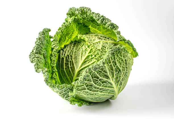 istock Savoy cabbage isolated on white background, Closeup 1444825095