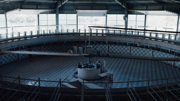 istock Cow milking system empty in modern automated manufacture. Producing dairy food. 1444831189