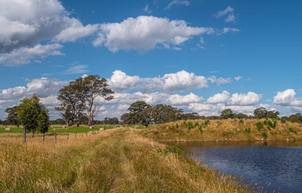 istock Country Victoria, Australia. Farm. 1444831212