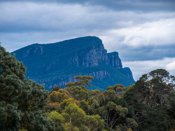 istock Country Victoria, Australia. Farm. 1444831231