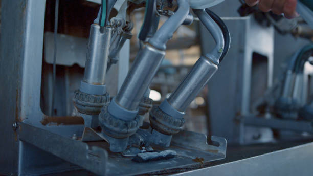 istock Cow milking device checking procedure on modern machinery manufacture closeup 1444832095