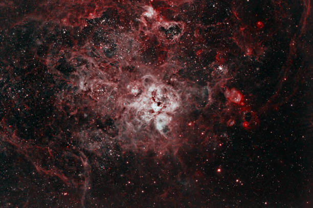 istock The Tarantula Nebula in the Large Magellanic Cloud 1444835542