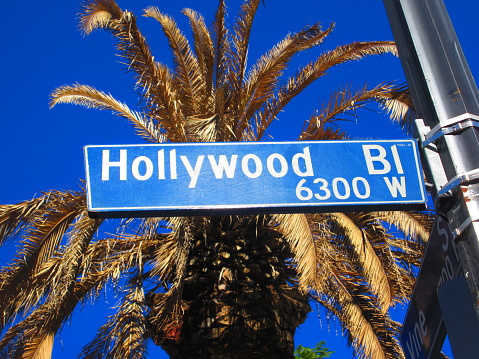 A shot of the Hollywood Boulevard street sign in Los Angeles.