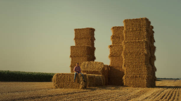 istock Farmer resting hay stack in sunset sunlight. Farmland owner inspecting stubble 1444836058
