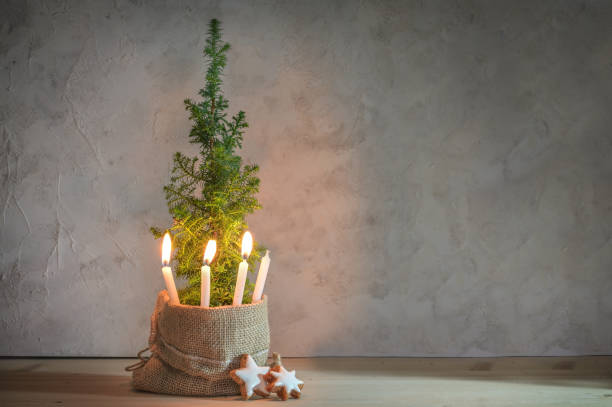 istock Alternative second Advent wreath, three candle lit with a flame on a small conifer plant as Christmas tree symbol, large copy space 1444836915