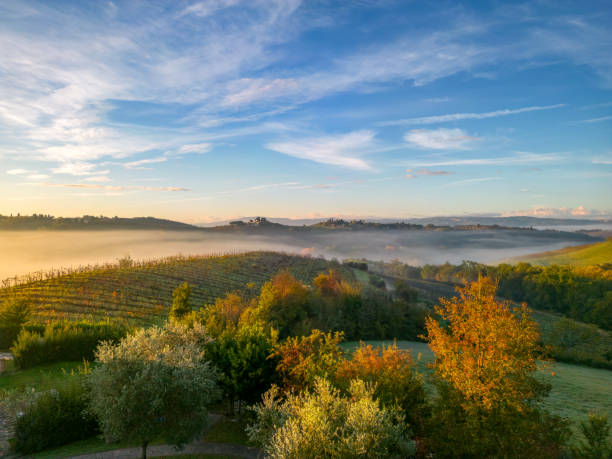 istock Tuscan vineyard landscape with fog from drone 1444837013