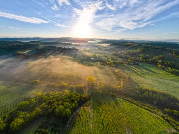 istock Tuscan vineyard landscape with fog from drone 1444837022