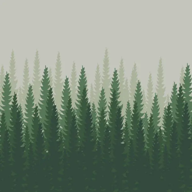 Vector illustration of Dense forest, fir and pine natural green landscape, web background, template - Vector