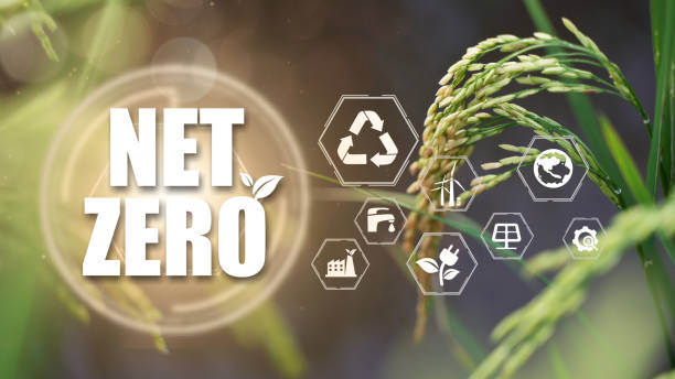 istock Net Zero and Carbon Neutral Concepts Net Zero Emissions Goals Weather neutral long-term strategy. 1444849661