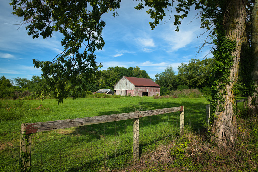Farm in a rural area on a summer day