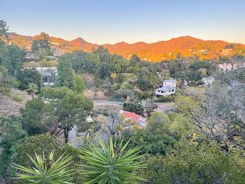 View of houses, trees and hills -Hollywood Hills houses, Los Angeles, California