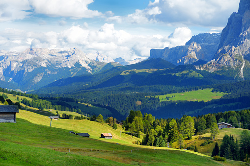 Seiser Alm, the largest high altitude Alpine meadow in Europe, stunning rocky mountains on the background. South Tyrol province of Italy, Dolomites.
