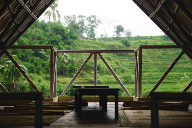 istock Gazebo with rice field background 1444880424