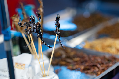 Thailand has some of the best street food in the world. Deep fried Insects.