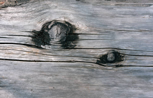 Grunge old wood door textured background.