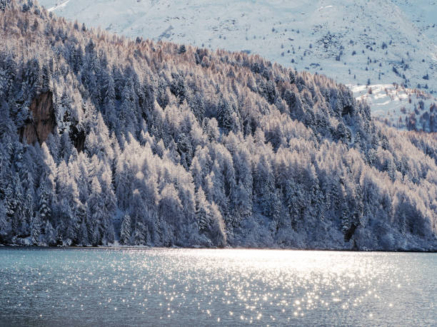 felice winterwonderland - st moritz engadine mountain winter foto e immagini stock