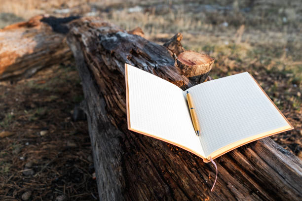 a notebook on a fallen old tree and a gold-colored fountain pen. write down thoughts