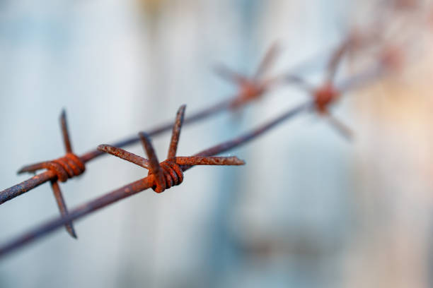 two lines of rusty wire with spikes on a blurred background. blurred focus, selective focus on rusty wire pieces