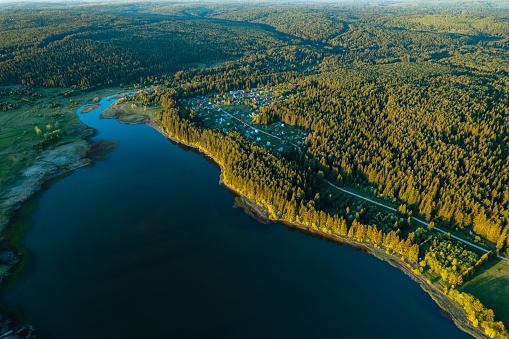 drone view of the forest and the river, curving shore and coniferous trees. huts in the forest, alone with nature