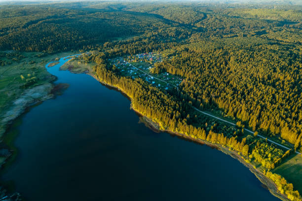 drone view of the forest and the river, curving shore and coniferous trees - coastline aerial view forest pond imagens e fotografias de stock