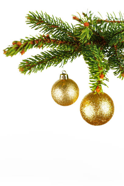 istock Decorative balls on fir branch 1444904897