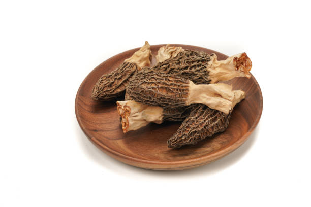 Closeup shot of dried morel mushrooms stock photo