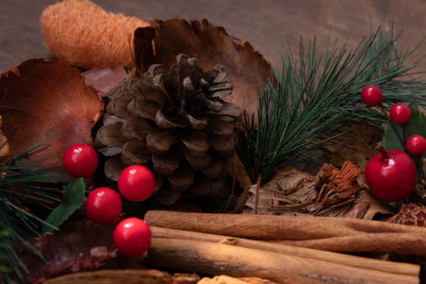istock the Smell of Christmas 1444908366