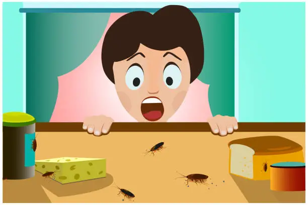 Vector illustration of Cockroaches and insects crawl at home, a man saw cockroaches and got scared. Vector illustration with character
